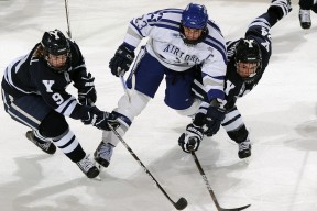 九游官网下载电脑版-体育+文化融合创新，推动青少年多元发展新格局，体育文化的融合