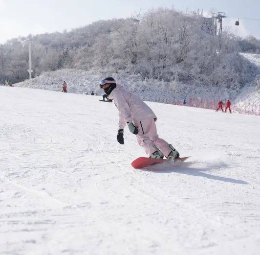 关于高山雪域极速越野,跨越冰雪的速度狂欢的信息 关于高山雪域极速越野,跨越冰雪的速度狂欢的信息