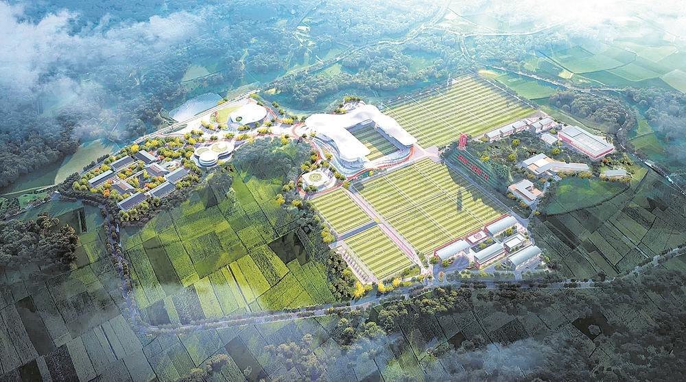 关于重点城市建设足球主题公园,推广全民运动的信息 关于重点城市建设足球主题公园,推广全民运动的信息