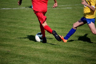 九游app下载中心-世界青少年自行车赛中国骑手再创佳绩，2020全国青少年自行车锦标赛