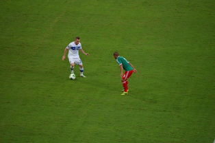 九游网游官网-中国足球对抗频次与伤病风险相关性，足球 对抗